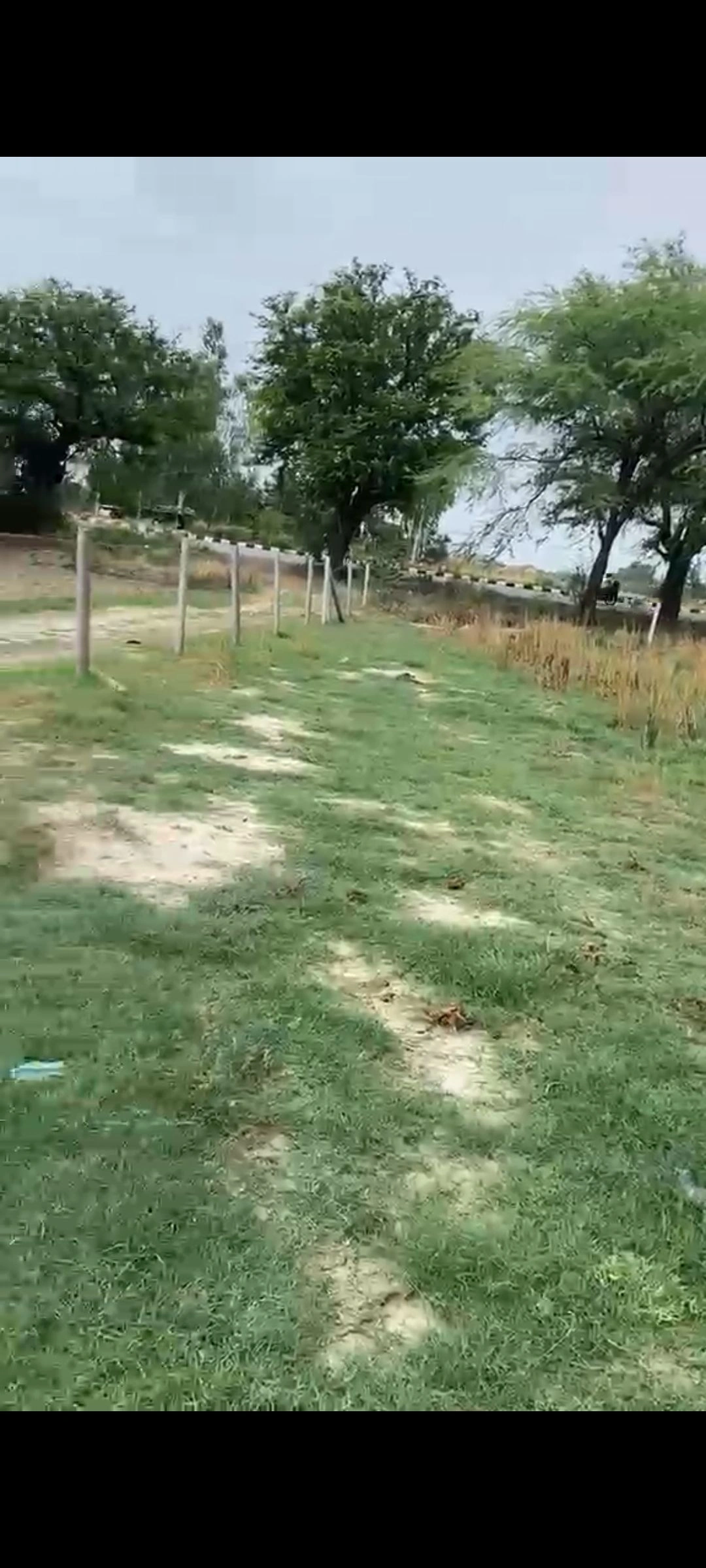 Malihabad, Uttar Pradesh, India preview 2