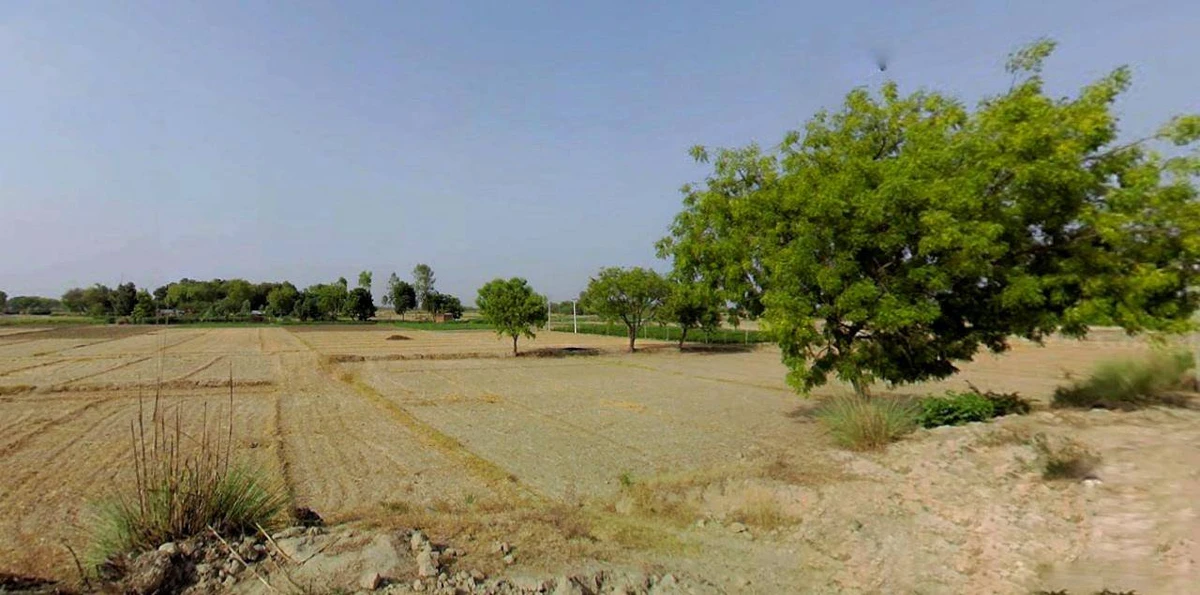 Barnagar, Madhya Pradesh 456771, India