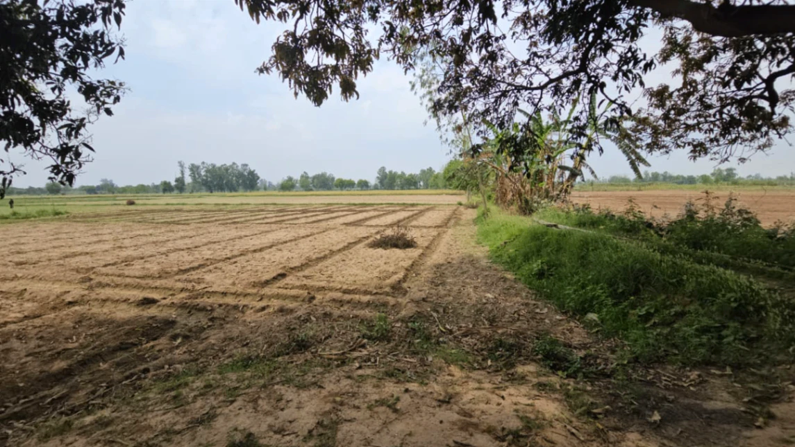 C2Q7+95G, Kanpur Dehat, Mukhlishpur, Uttar Pradesh 209101, India