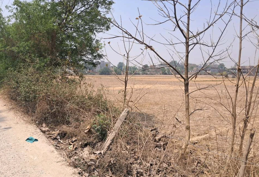 Barnagar, Madhya Pradesh 456771, India
