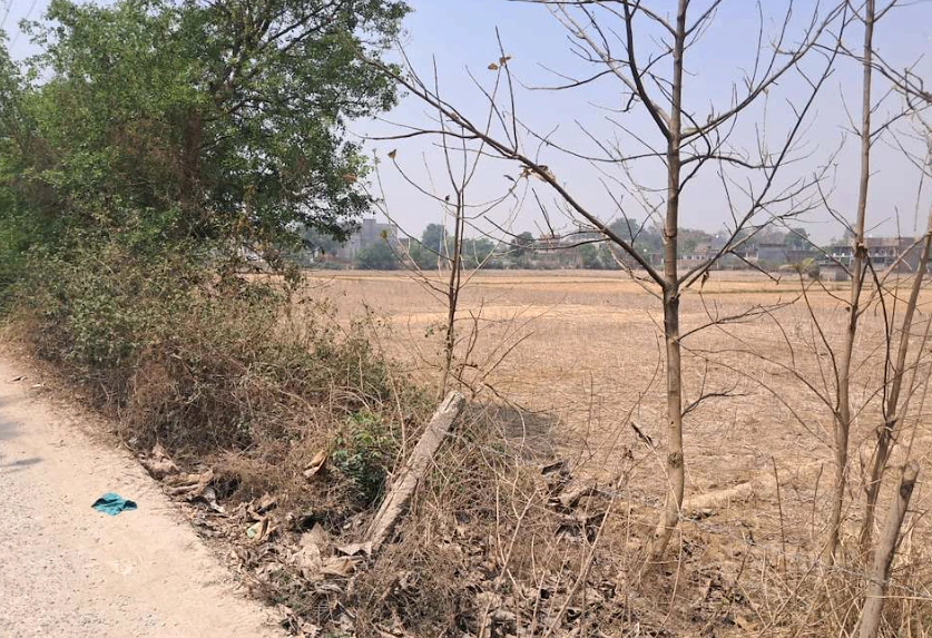 Barnagar, Madhya Pradesh 456771, India