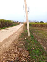 Raisi, Uttarakhand 247671, India preview 3