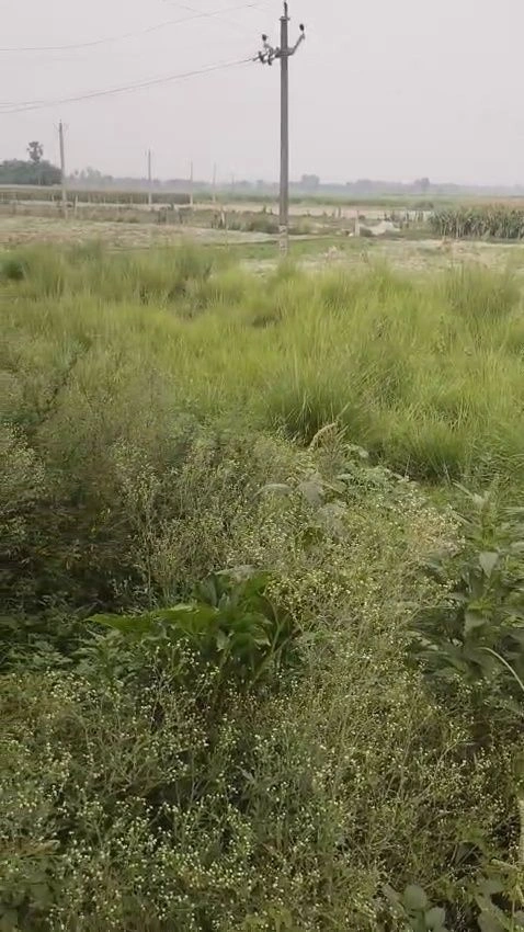 Mehna, Punjab 142011, India preview 2