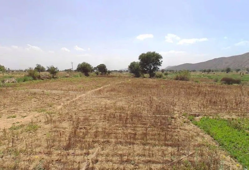 MRF2+8C Rasoolpur, Rajasthan, India preview 3