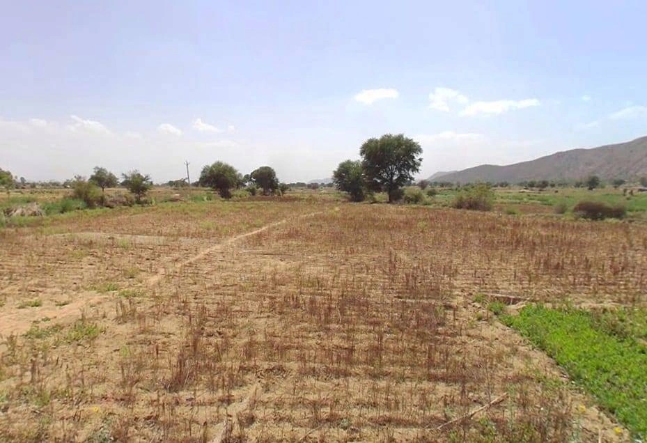 MRF2+8C Rasoolpur, Rajasthan, India