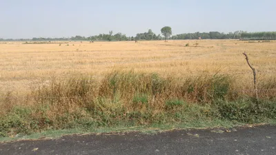 H2MQ+XQ, Padariya Dalelpur, Aadil Pur, Uttar Pradesh 224208, India preview 2