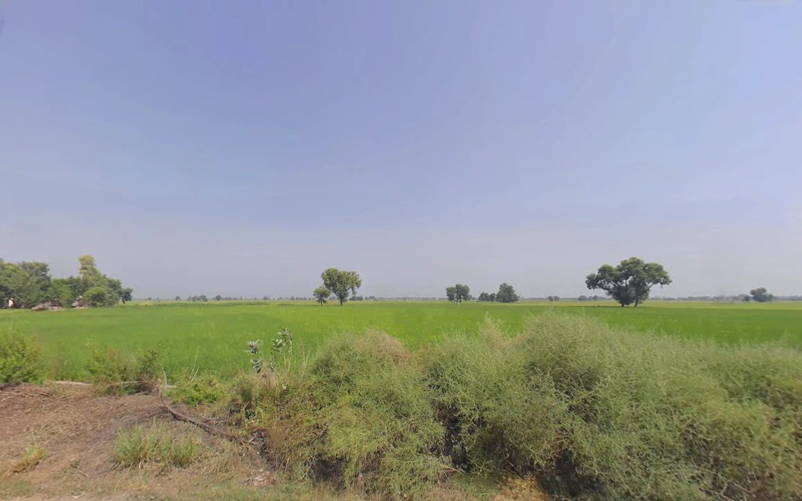Hizarawan Khurd, Haryana 125050, India