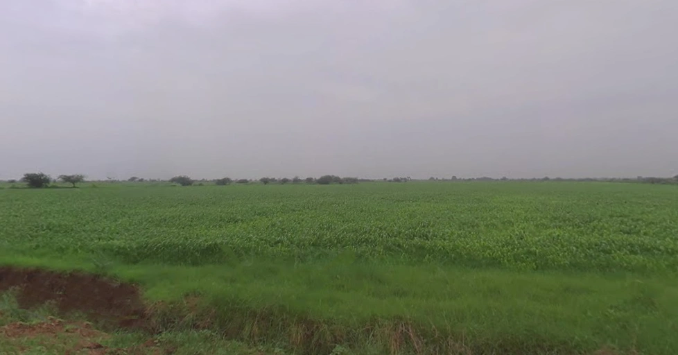 Kekri, Rajasthan 305404, India
