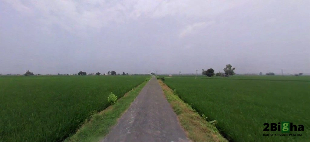 Nissing, Haryana 132024, India