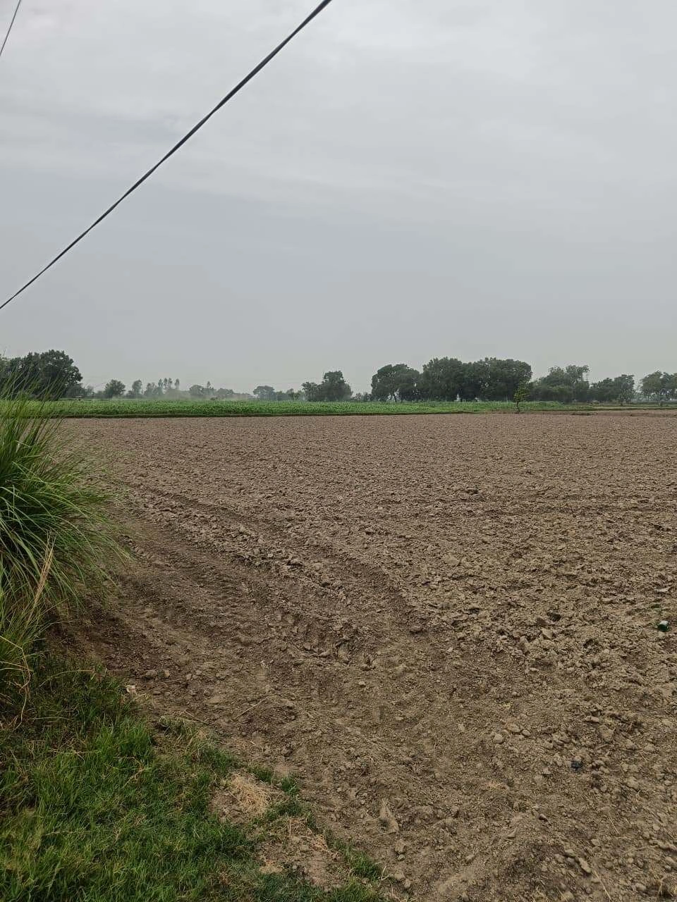 Adampur, Uttar Pradesh, India