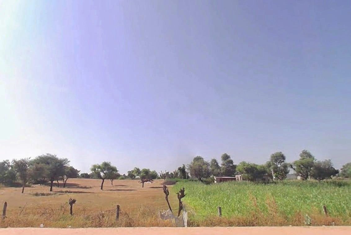 Reengus Rd, Khatoo, Rajasthan, India