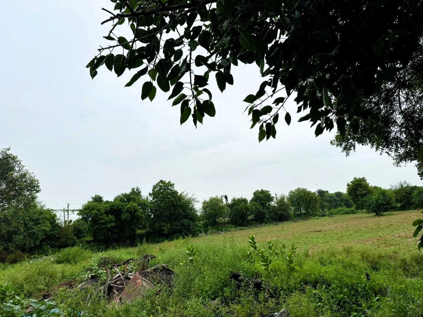 Kharoda, Haryana 122103, India