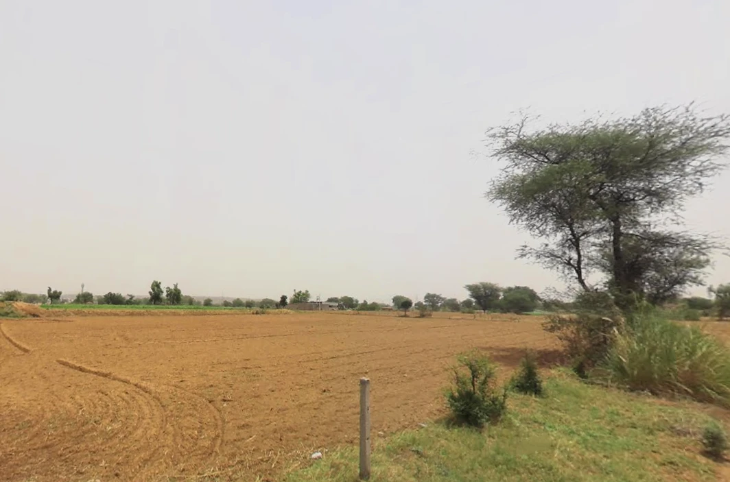 Chuliana, Haryana 124501, India