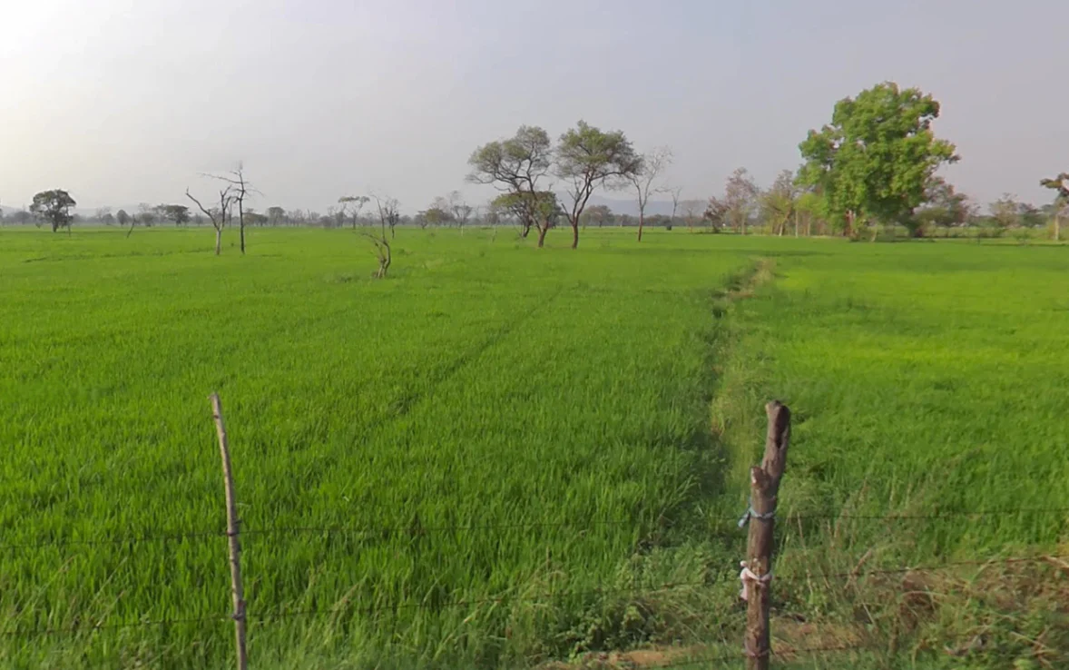 Tarpongi, Chhattisgarh 493116, India preview 2