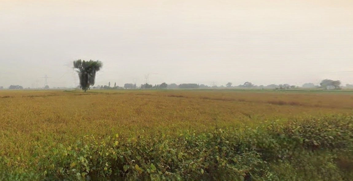 Mohanlalganj, Uttar Pradesh 226301, India preview 3