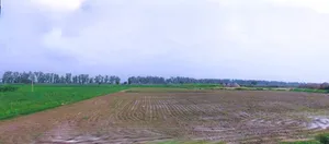 Bahadurgarh, Haryana, India preview 3