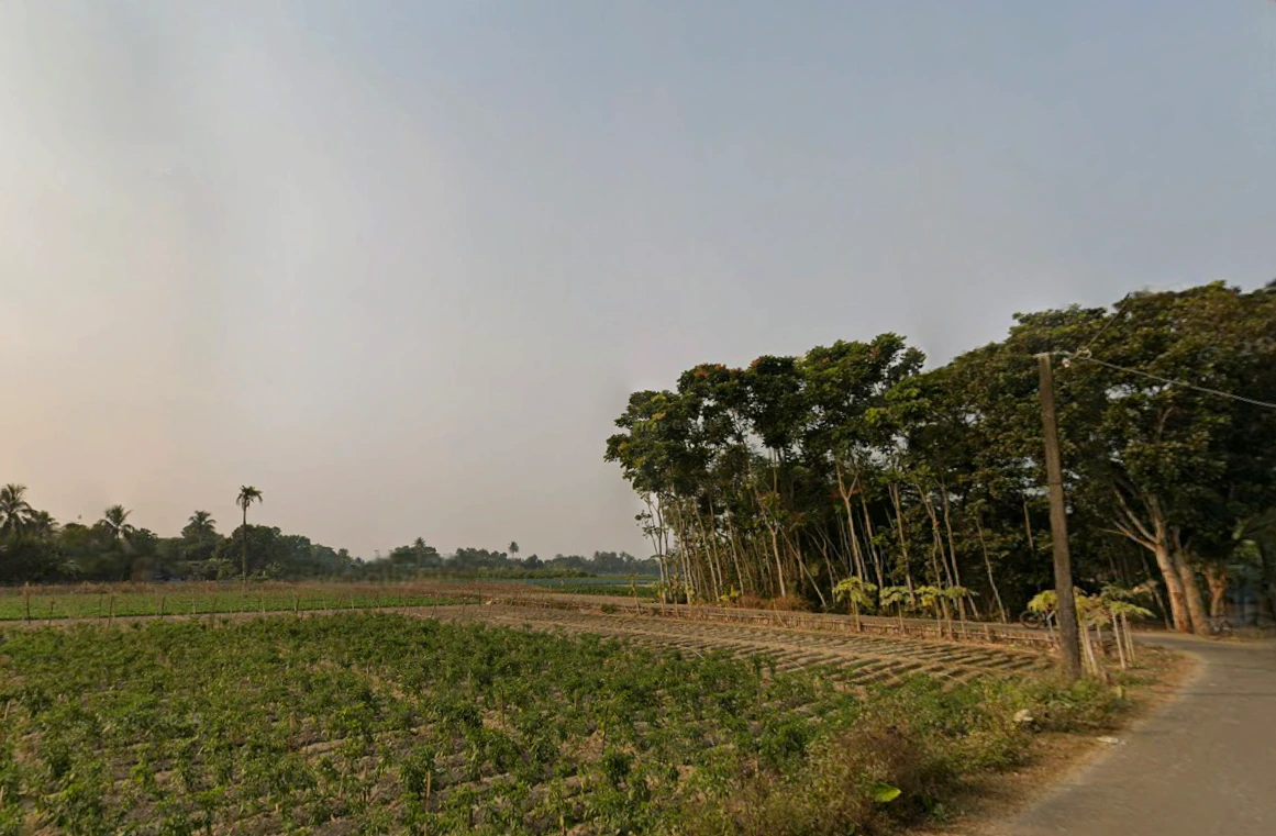 HFPR+85C, AA II, Newtown, Chakpachuria, West Bengal 700160, India