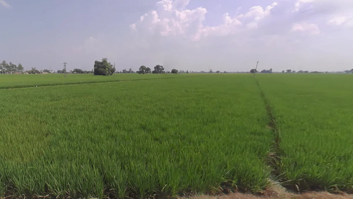 Lehra, Punjab, India preview 3