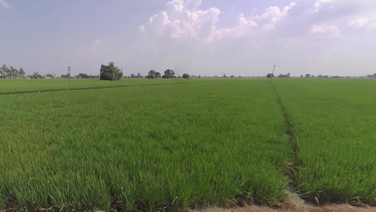 Lehra, Punjab, India