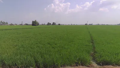 Lehra, Punjab, India preview 3