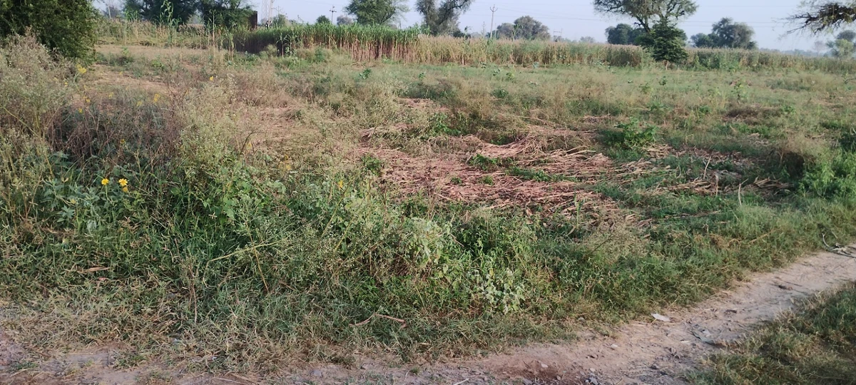 Jugrawar, Rajasthan, India