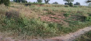 Jugrawar, Rajasthan, India preview 3