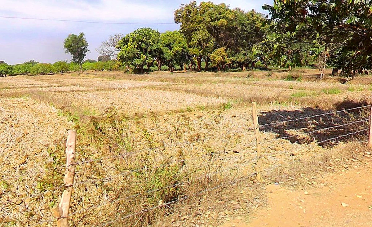 Marichamal, Odisha 763008, India