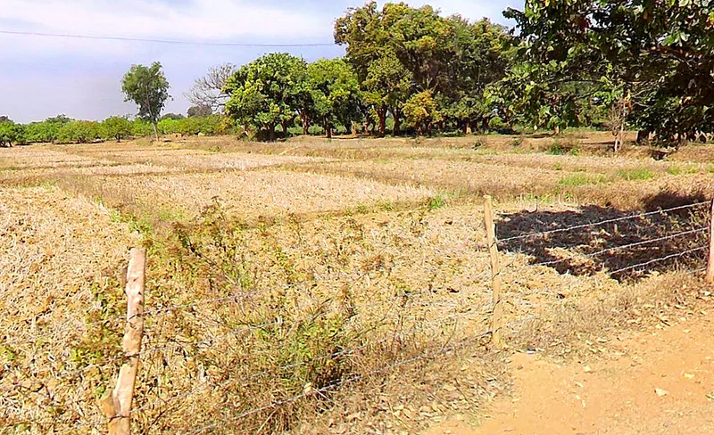 Marichamal, Odisha 763008, India preview 2