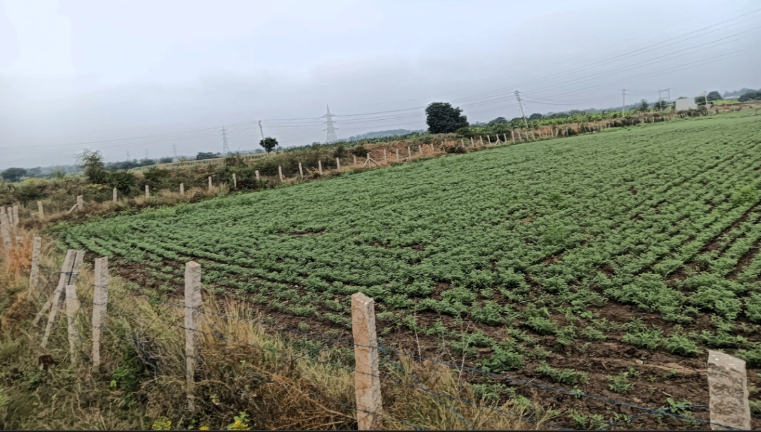 Hiriyur, Karnataka, India
