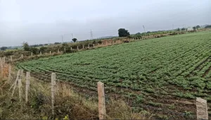 Hiriyur, Karnataka, India preview 3