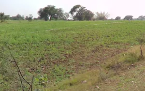 Patewa, Chhattisgarh 493551, India preview 2