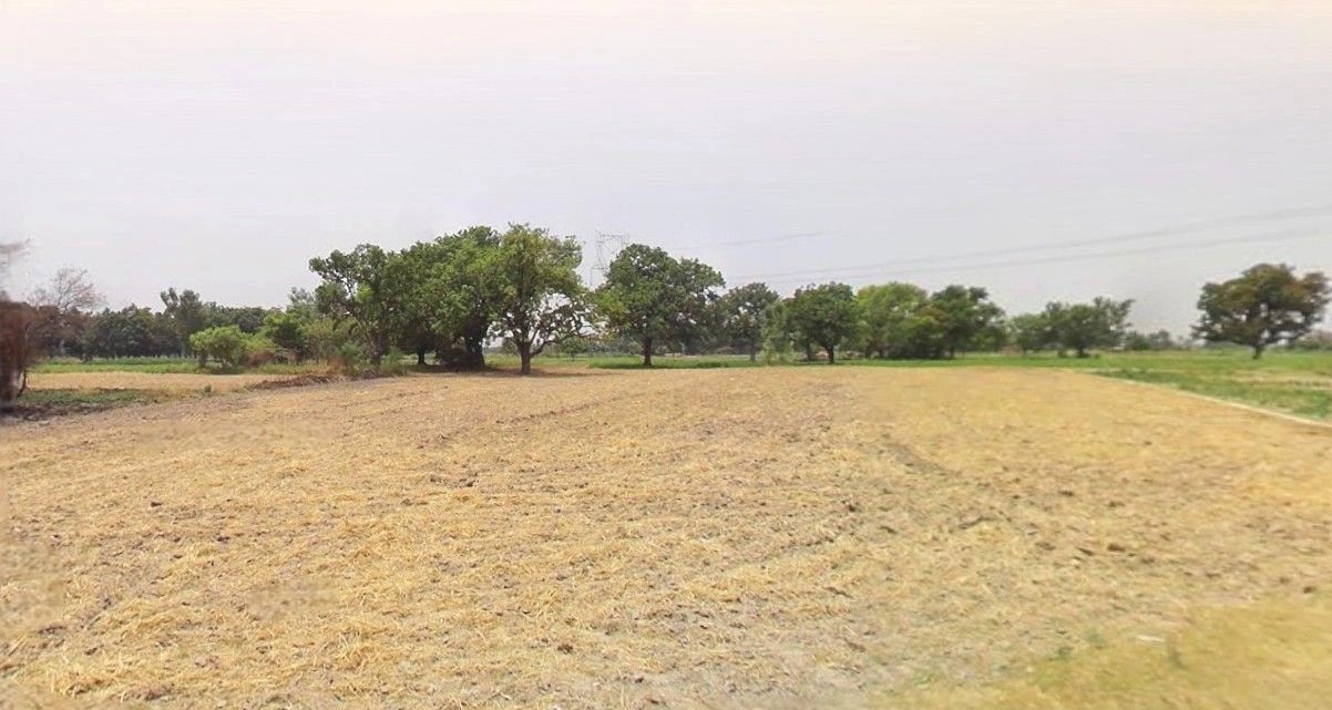 Jewar, Uttar Pradesh 203135, India