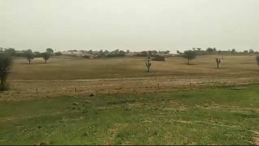 Rooplisar, Churu, Rajasthan 331022, India