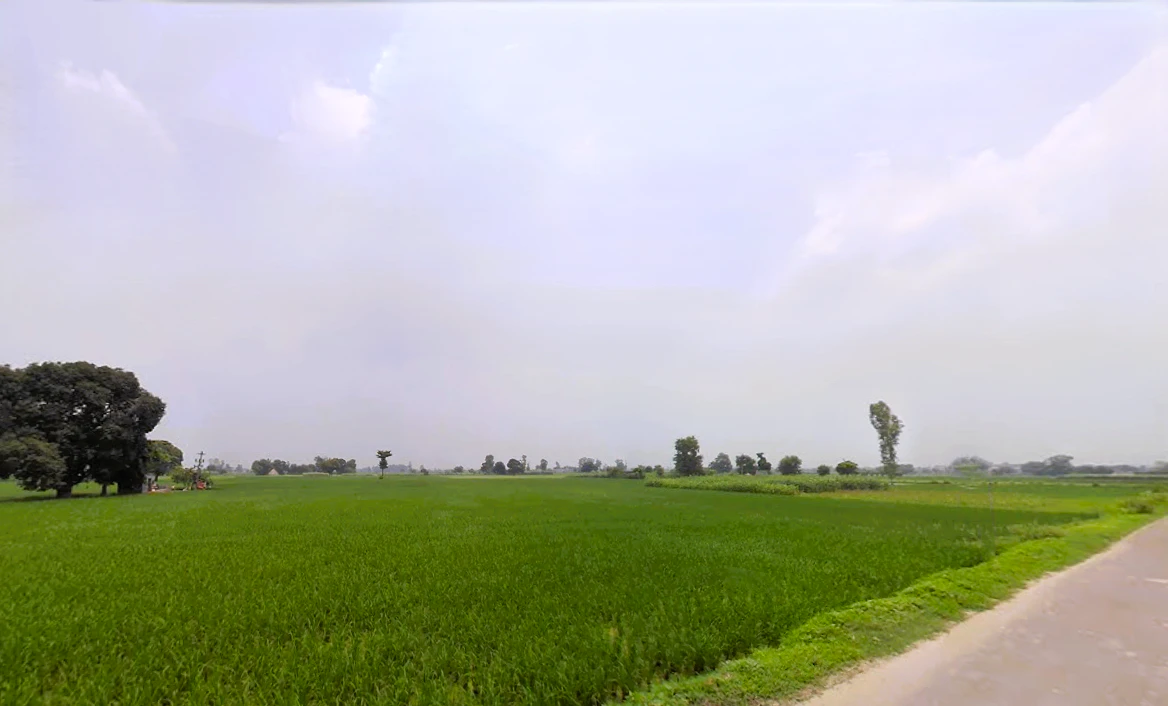 Ballah, Haryana 132040, India