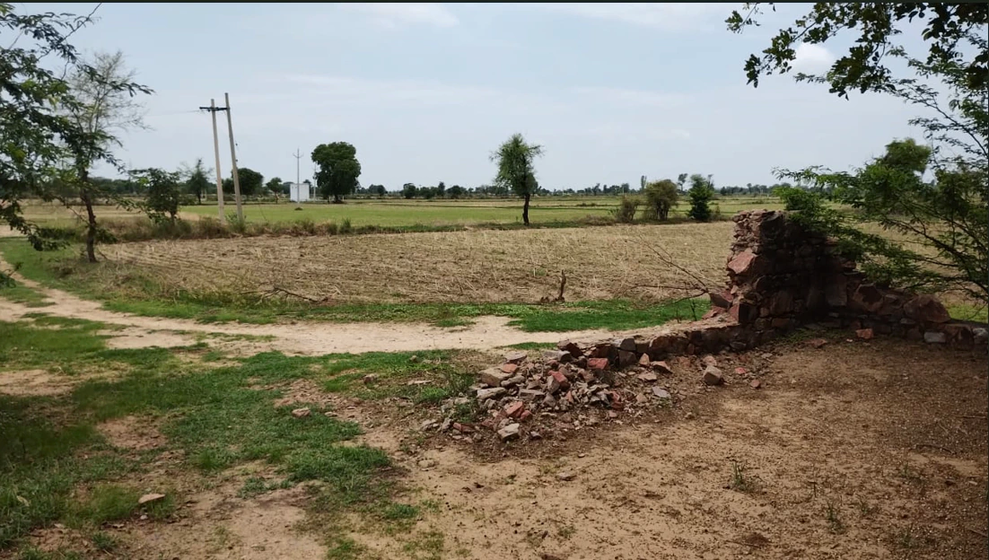Tanda, Uttar Pradesh 244925, India