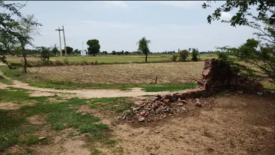 Tanda, Uttar Pradesh 244925, India preview 2