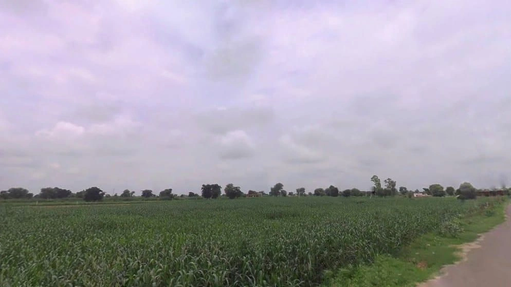 X877+RH2, Nagla Jhamra, Rajasthan, India preview 2