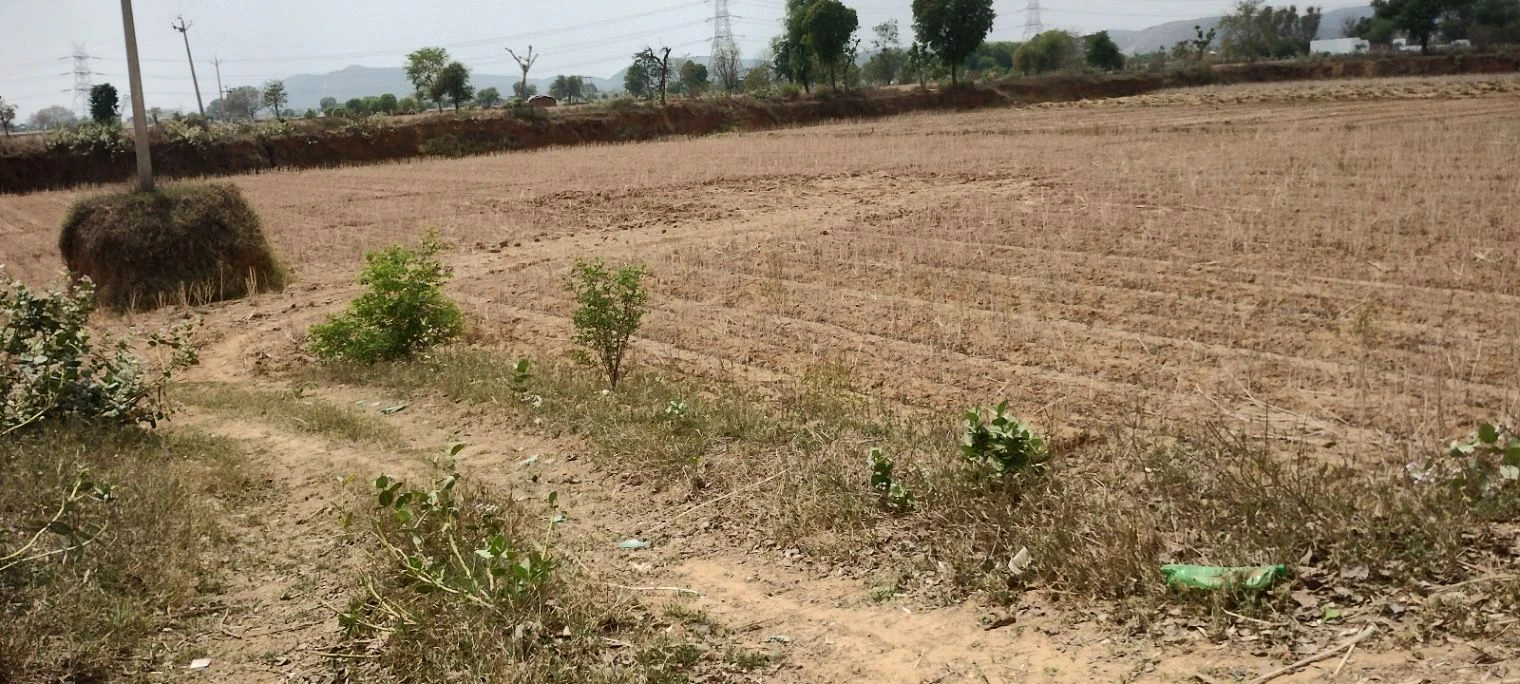 FR48+WH3, Ghat, Rajasthan 301001, India