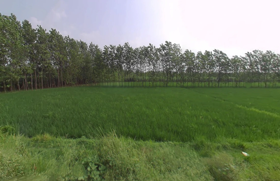 Mata Shakumbhari Devi Rd, Alipur Alis Bhagwala, Uttar Pradesh, India