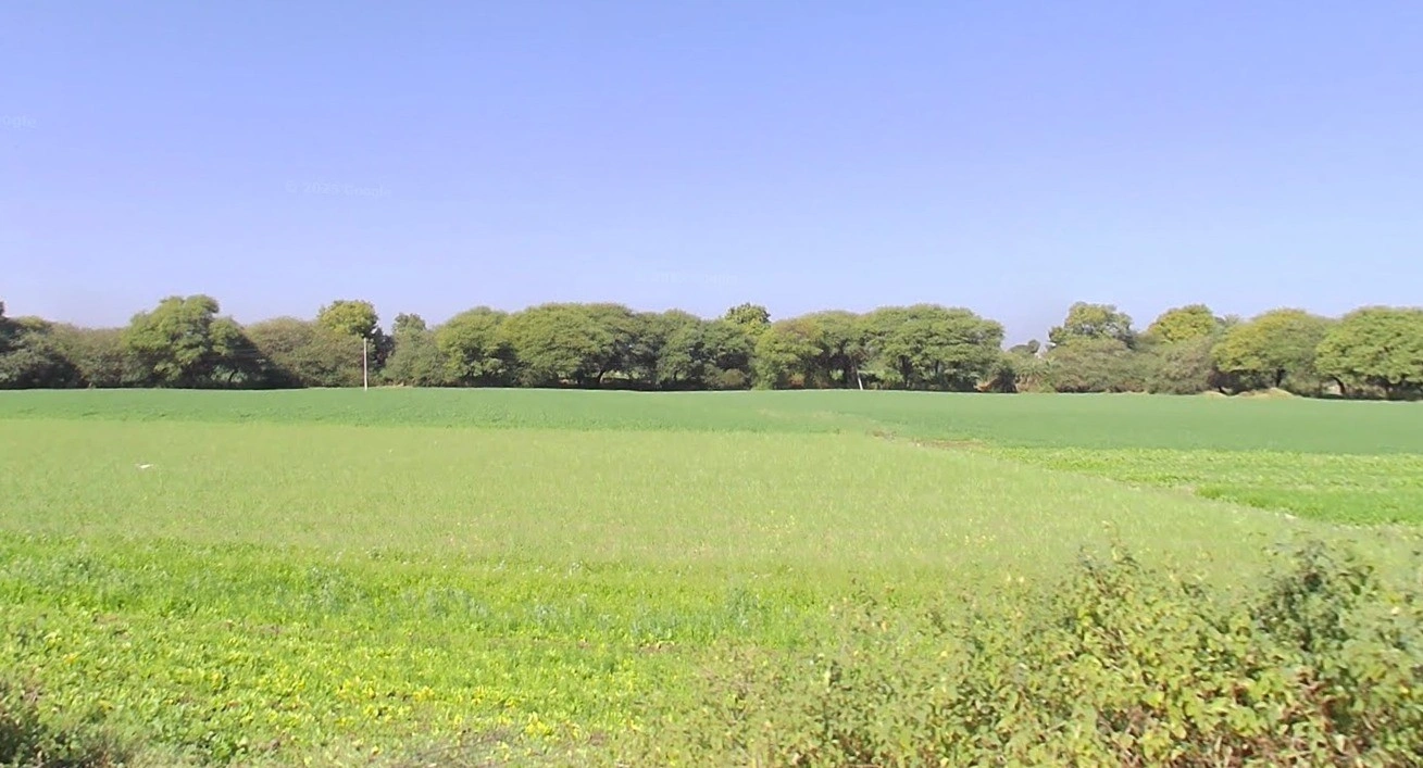 Kanadiya, Madhya Pradesh 452016, India