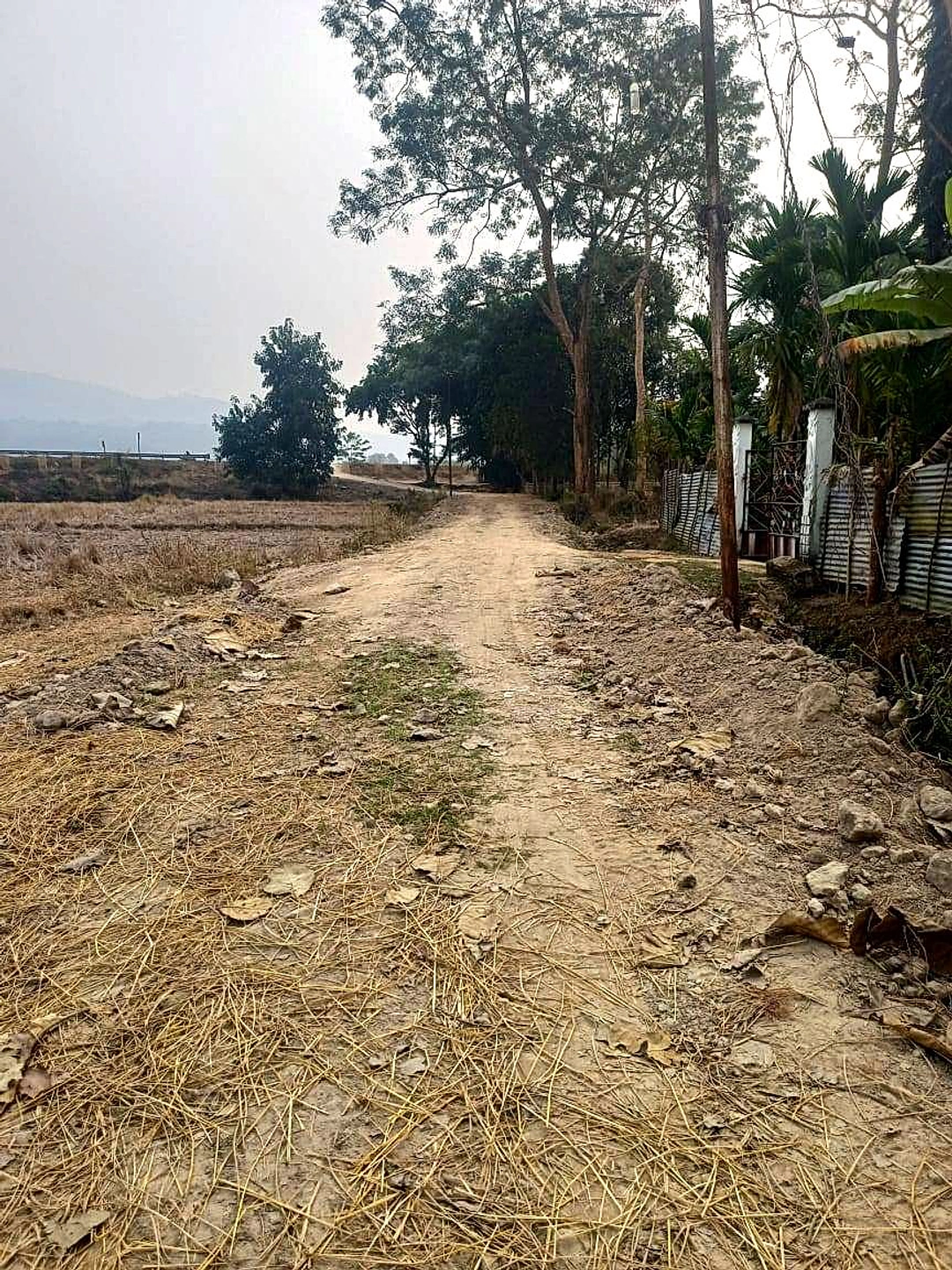 548Q+X5 No.2 Dighali Maji Gaon, Assam, India