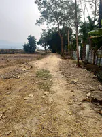 548Q+X5 No.2 Dighali Maji Gaon, Assam, India preview 3