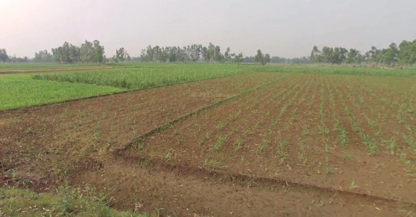 Tukrana, Madhya Pradesh 465001, India