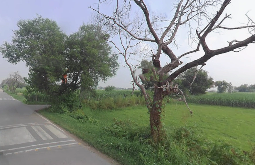 Baraut, Uttar Pradesh 250611, India