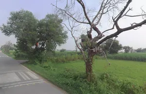 Baraut, Uttar Pradesh 250611, India preview 3