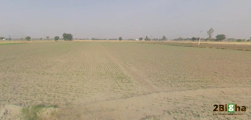 Dulhin Bazar, Bihar 801102, India