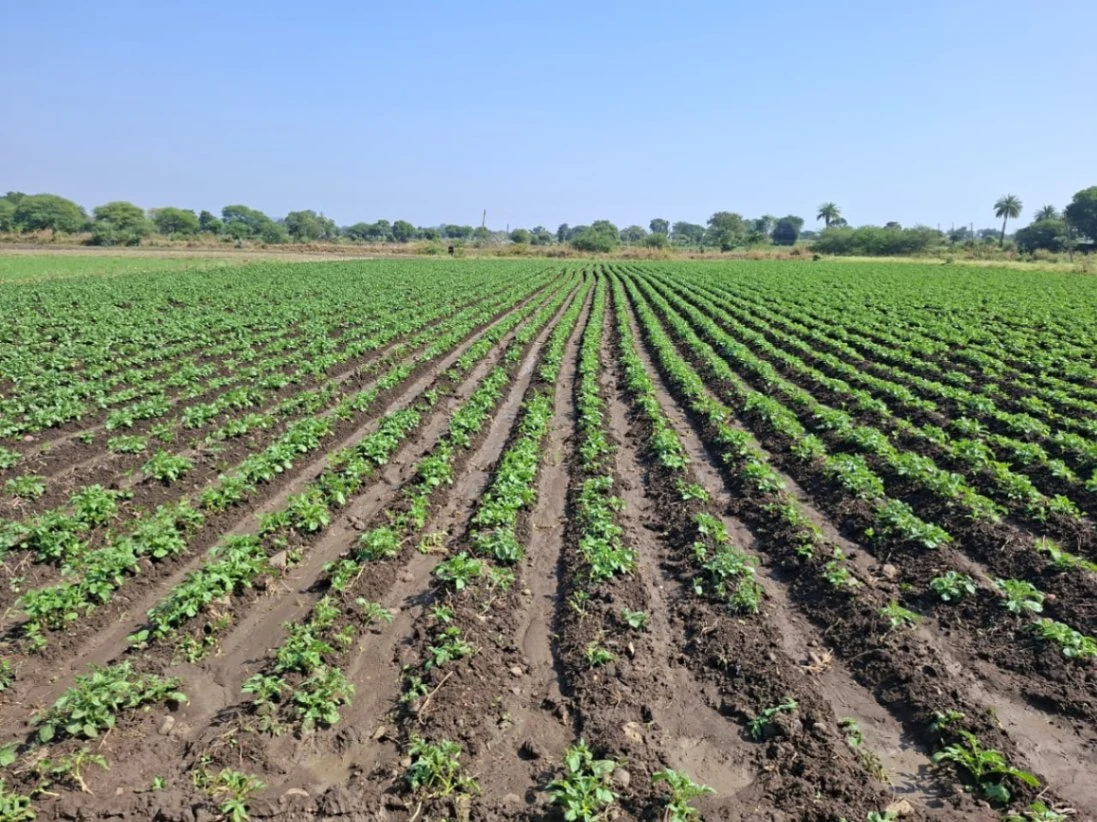 GR77+4R6, Bhagora, Madhya Pradesh 453441, India