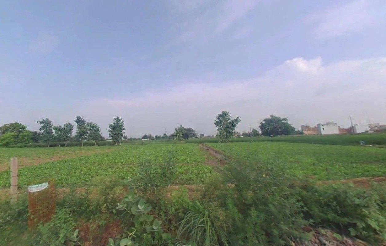 Khurja, Uttar Pradesh 203131, India