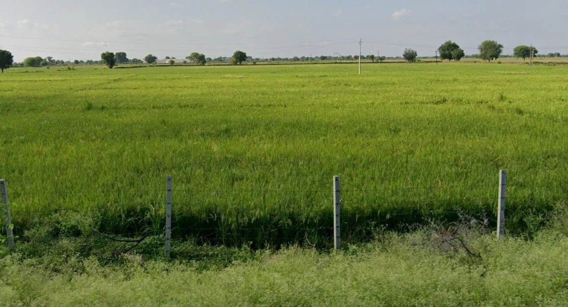 FQMF+487, Khajurna, Madhya Pradesh 458778, India