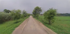 Panipat, Haryana, India preview 2